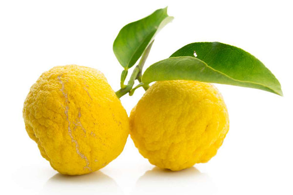 Holznahrung Yuzu